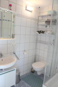 Rosenalm Scheidegg Apartment 333