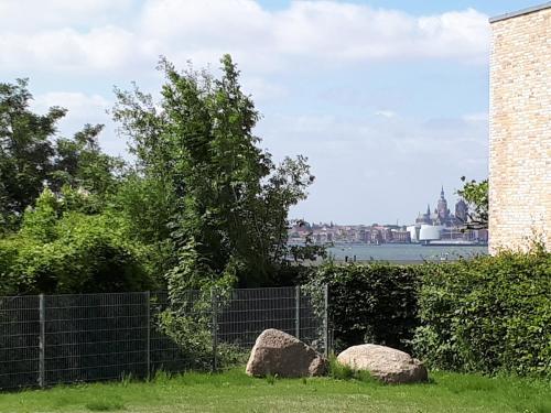 rosmarin-am-sund