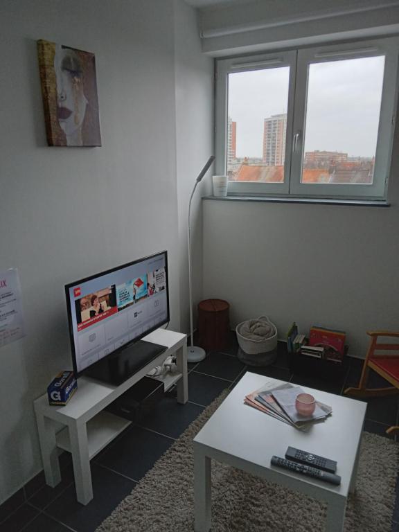 Appartement Roubaix près Lille, un cocon en plein centre Apt 332 3ème étage 44 Rue Saint-Jean 59100 Roubaix