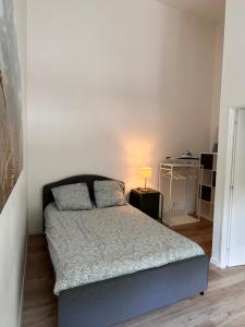 Rouen: Superbe appartement CHU Rouen