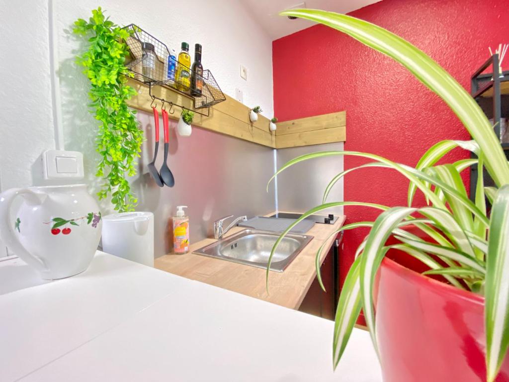 RoyalSpa appartement d'amour avec jacuzzi privatif