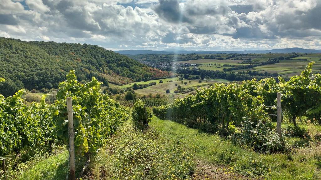 Ruhe pur am Golfplatz Stromberg 50 Heideweg, 55442 Stromberg