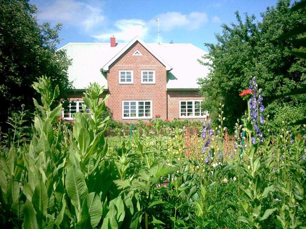 Appartement Rungholt Sonke-Nissen-Koog 8 25821 Reußenköge