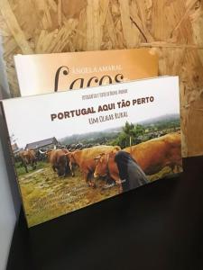 Rústico T1 no centro cidade