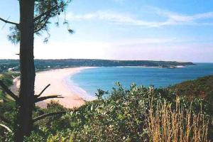 Sables d'Or, studio 31, équipé, à 300m de la plage