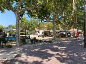 Saint Aygulf - a 250m de la mer- 3 pieces 45m2
