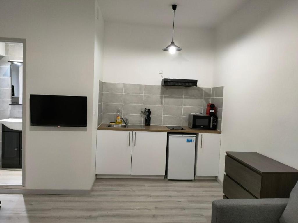 Appartement Saint Etienne Studio Lot 8 8 Rue Boulbonne 31000 Toulouse