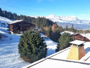 Appartement Saint Gervais - Le Bettex T3 Duplex (1400m d'altitude)/ 55m2 / Vue Mont Blanc - Aux Pieds des Pistes! LES ECRAVES - Appartement 33 57, Chemin de Pierre Plate 74170 Saint-Gervais-les-Bains Rhône-Alpes