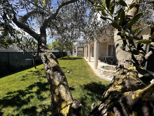 Saint-Laurent d’Aigouze : appartement avec jardin