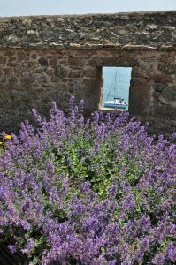 Saint Malo Solidor vue mer BRECEL 1