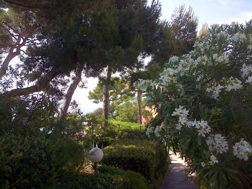 Saint-Mandrier-sur-Mer, ravissant T2 vue mer