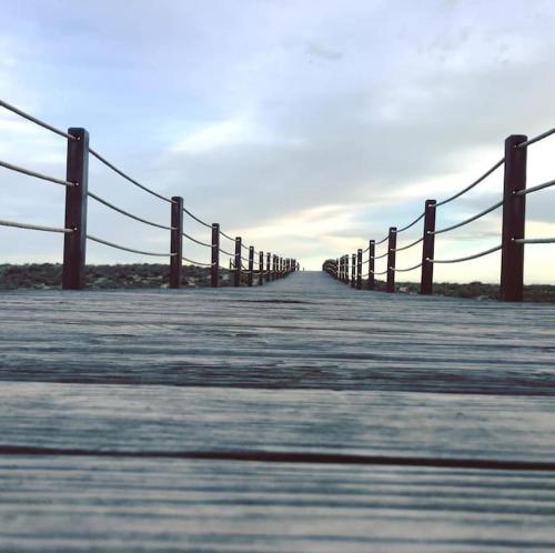 Salgados Mar