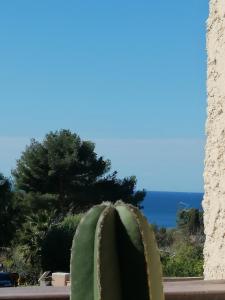 Appartement Sanary les gorguettes, studio avec terrasse vue mer Résidence les Amirantes, 117 chemin des Galets, bâtiment 6, appartement 84 83110 Sanary-sur-Mer Provence-Alpes-Côte d\'Azur