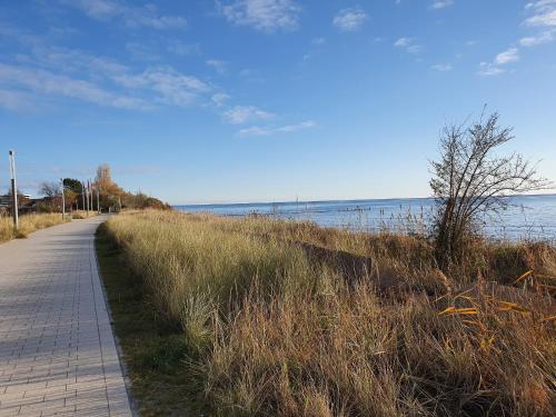 Sanddorn Sanddorn - Whg 01