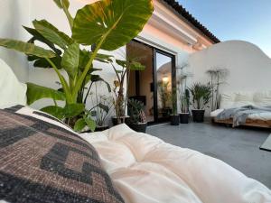Santa Rita Sunset & Beach Apartment