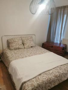 SANTOCHA : appartement en plein coeur de ville !