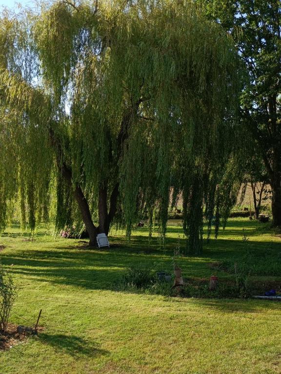 SAULE ET RIVIERE 7 Chemin de la Rivière, 65230 Betpouy