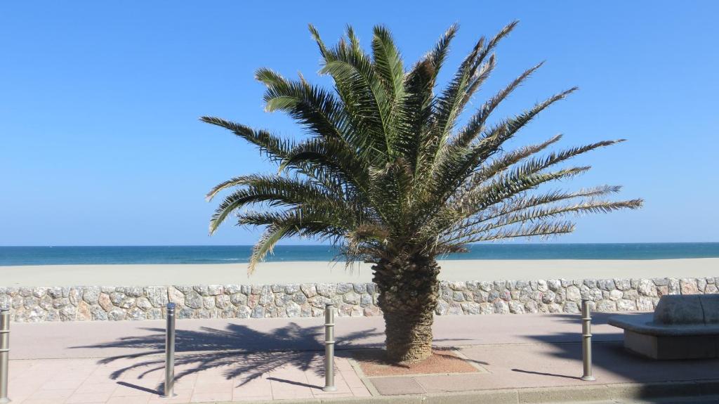 Savanna Beach