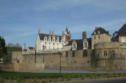 SCANDI NANTES 419