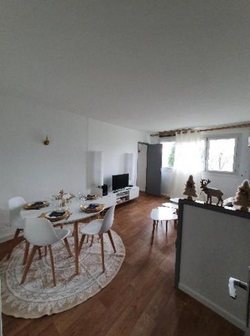 Appartement scandinave Mont-Saint-Aignan france