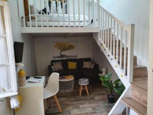 Scandinave de Steenia