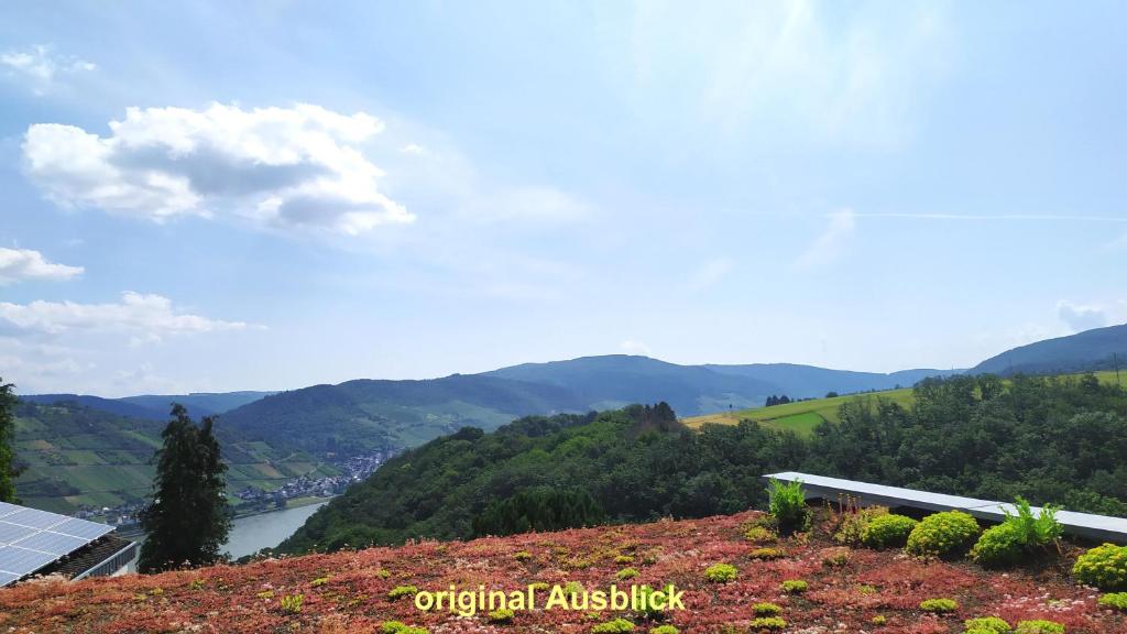 Schau-Rhein#2 - on Top of Bacharach, Rhineview 10 Fürstenbergstraße, 55422 Bacharach