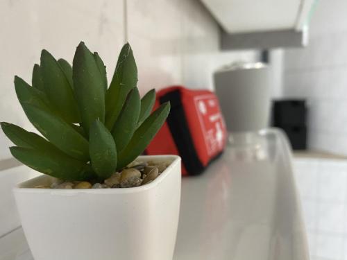 Schickes 1,5 Zimmer-Cityapartment Bielefeld Mitte