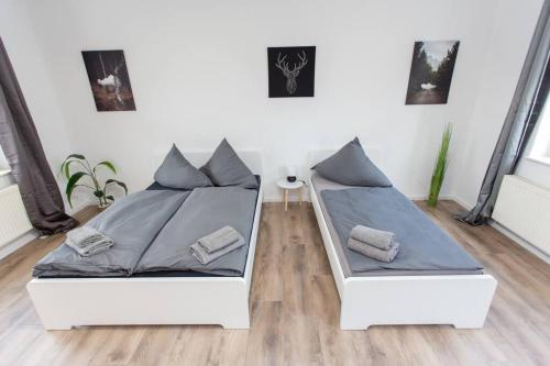 Schickes 1-Raum-Apartment mit Balkon und vollausgestatteter Küche
