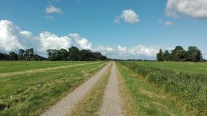 Schlafstrandkorb auf dem Hof Herzleuchten