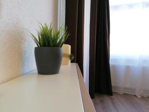 Schluchsee Ferienwohnung 1309