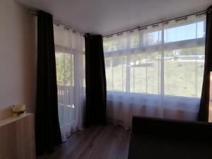 Schluchsee Ferienwohnung 1309