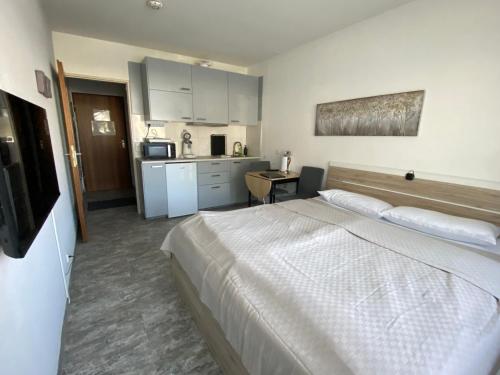 Schluchsee Ferienwohnung 22031