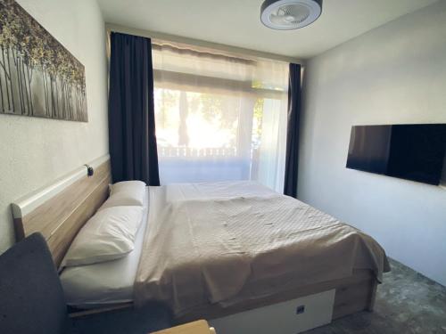 Schluchsee Ferienwohnung 22031