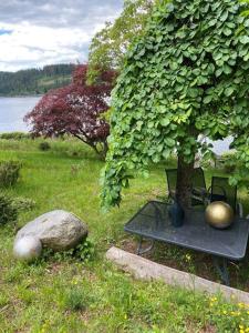 Schluchsee, Villa Seepark