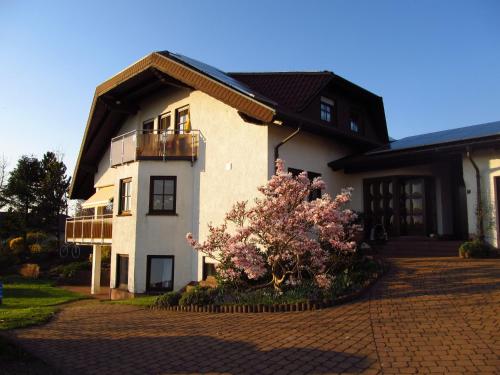 Schmidt`s Eppelborner Ferienwohnung