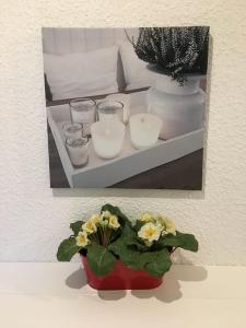 Appartement Schöne 2-Zimmer Wohnung in Geesthacht 10 Schwarzer Kamp 21502 Geesthacht Schleswig-Holstein