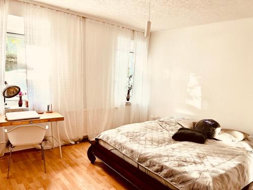 Schöne 2Raumwohnung in perfekter Lage