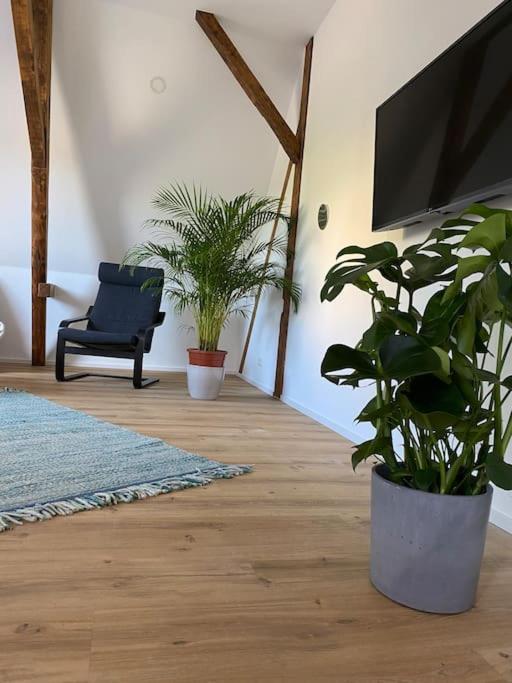 Schöne 70m2 Fachwerkwohnung 5 Weinstraße, 76889 Pleisweiler-Oberhofen
