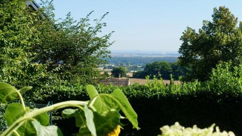 Schöne Aussicht