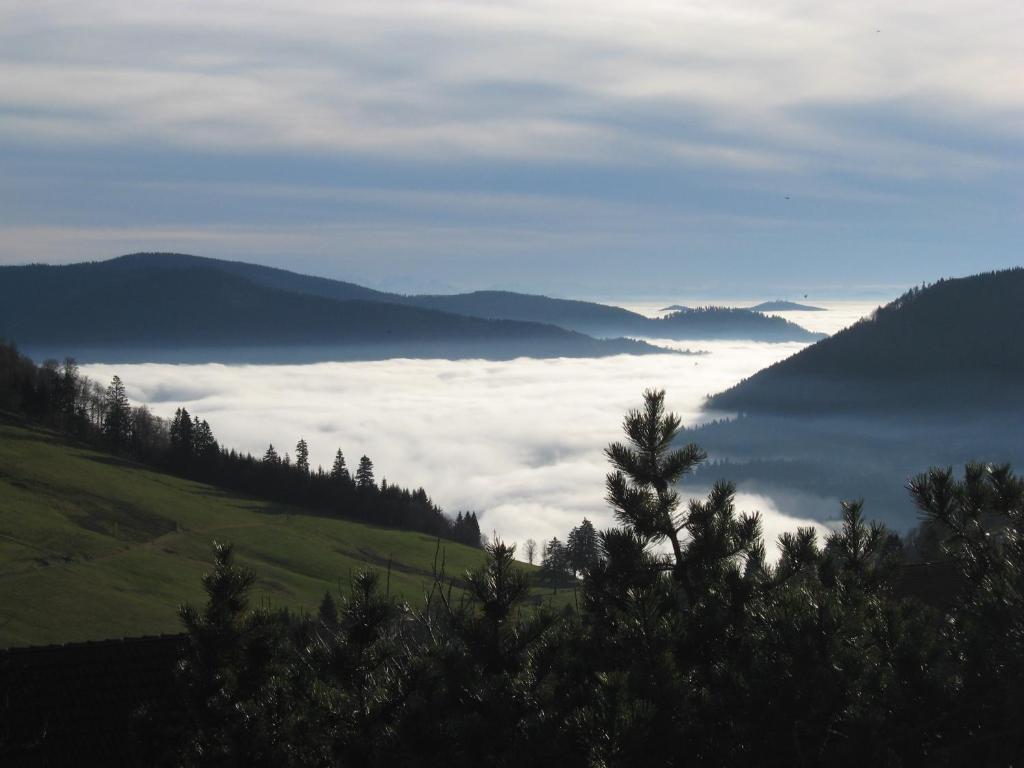 Schöne Aussicht 5 Fichtenweg, 79674 Todtnau