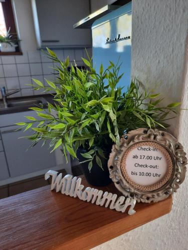 Schöne EinZimmer Wohnung Zwischen Bodensee und Allgäu