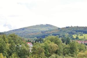 Schöne Ferienwohnung am Schlosspark
