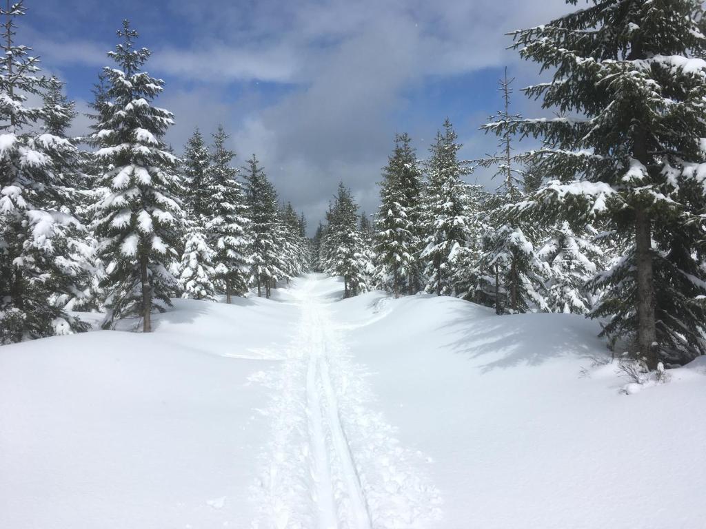 Appartement Schöne Ferienwohnung in Carlsfeld Erzgebirge bis 6 Personen - Wintersport-Wandern-Radfahren-Erholung 57 Carlsfelder Hauptstraße 08309 Eibenstock