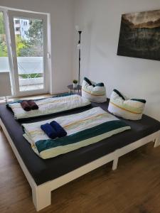 Schöne, gemütliche möblierte 2 Zi Wohnung in RGB