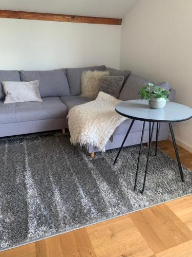 Schöne, große Ferienwohnung direkt am Donauradweg