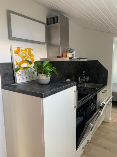 Schöne, große Ferienwohnung direkt am Donauradweg