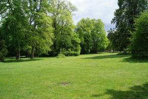Schöne, ruhige und helle Ferienwohnung in Altstadtnähe!