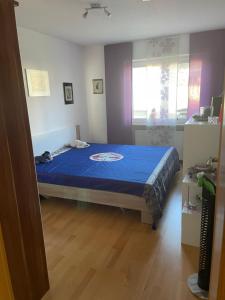 Schöne Wohnung nahe Bodensee und Schweiz