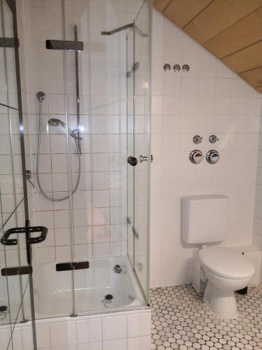 Schönes 2-Z Apartment im Villa -in der nähe von Uni Mainz