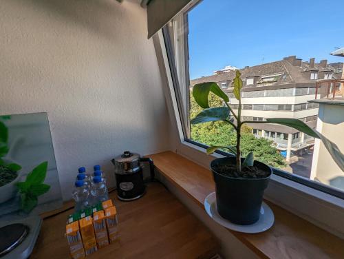 Schönes 2 Zimmer Appartment in der Altstadt von Koblenz